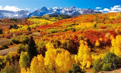 What to know before seeing fall colors at Colorado parks
