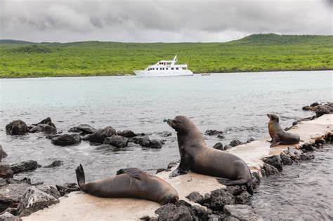 What to know before traveling to the Galápagos Islands