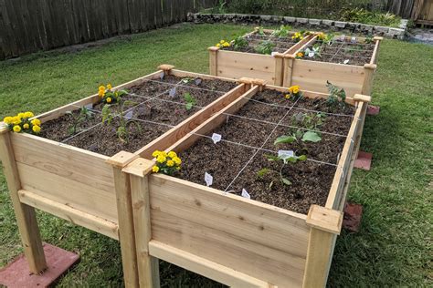 What to plant in raised beds