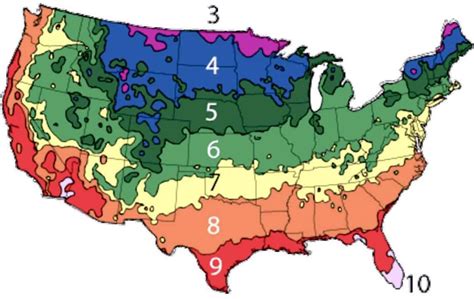 What to plant now by zip code. Are you an avid gardener looking to maximize the potential of your garden? Do you want to ensure that your plants thrive in their environment? Look no further than USDA planting zo... 