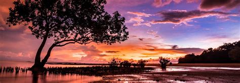 What to see in and around darwin