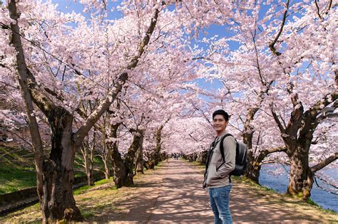 What to see in japan in april