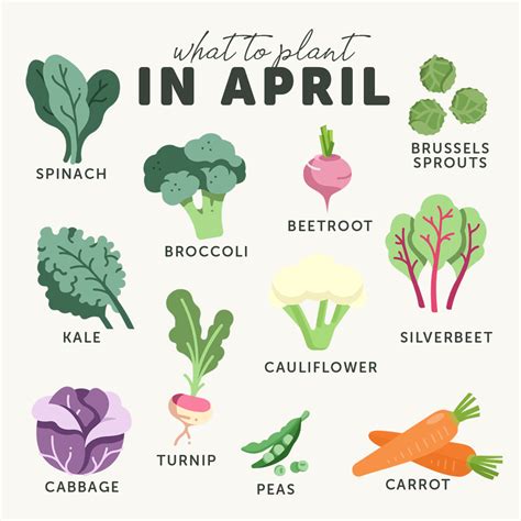 What to sow in april uk
