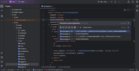 What to use JetBrains WebStorm 2024