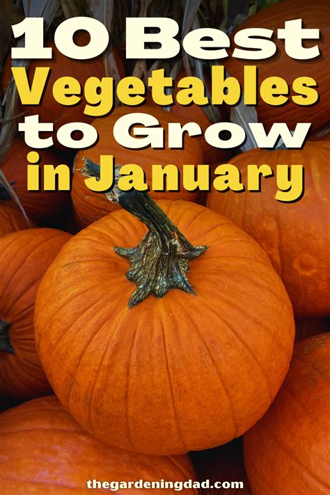 What vegetables to grow in january