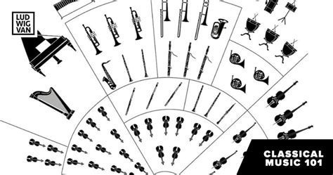 What was the first orchestra instrument