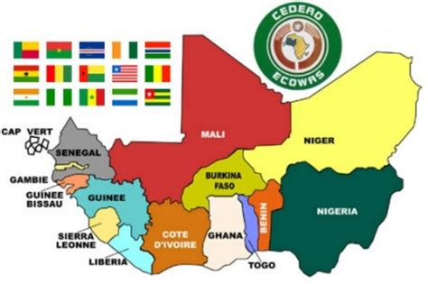 What would ECOWAS’ threat to use force to restore democracy in Niger look like?