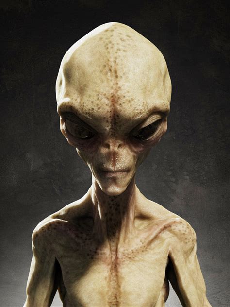 What would aliens look like. What do aliens look like? Well, movies and TV shows would have you believe they might look a bit like us—albeit, with big (bald) … 