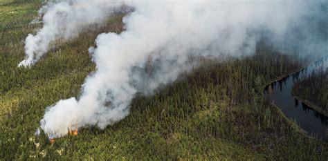 What you need to know about wildfires in Canada