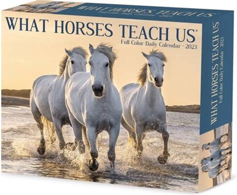 Full Download What Horses Teach Us 2018 Box Calendar By Not A Book