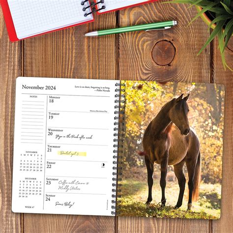 Read Online What Horses Teach Us 2019 Engagement Calendar By Not A Book