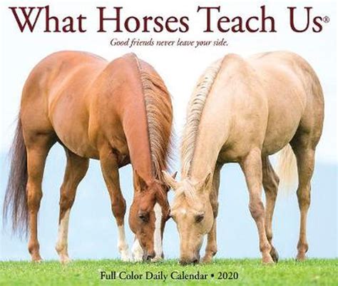 Read What Horses Teach Us 2020 Box Calendar By Not A Book