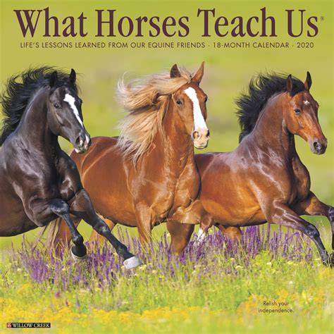Read Online What Horses Teach Us 2020 Mini Wall Calendar By Willow Creek Press