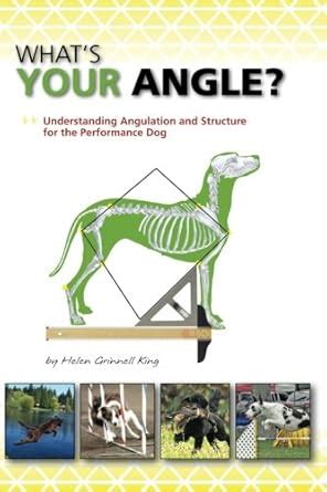 Whats Your Angle Understanding Angulation And Structure For The Performance Dog