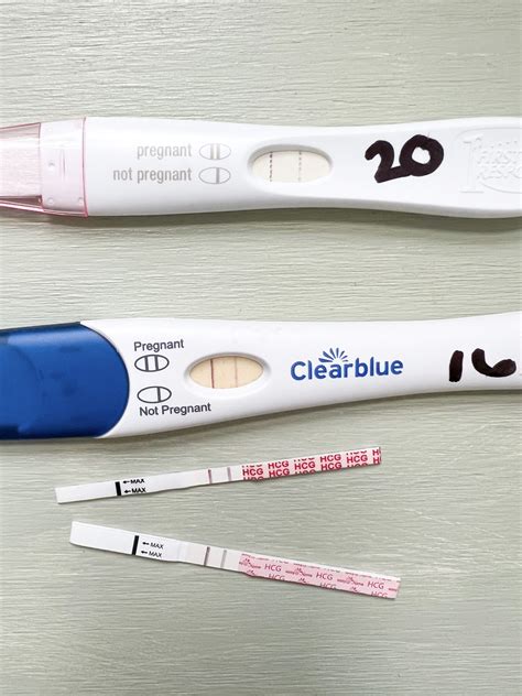 A dye stealer is a term used to describe a phenomenon that can occur during a pregnancy test. It refers to a situation where the test line becomes darker than the control line, indicating a high concentration of pregnancy hormone (hCG) in the urine sample. This can happen when the hCG levels are very high, usually later in pregnancy.. 