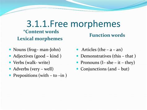 An affix is a bound morpheme, which means that it is exclusively attached to a free morpheme for meaning. Prefixes and suffixes are the most common examples. Common prefixes are : re-, sub-, trans .... 