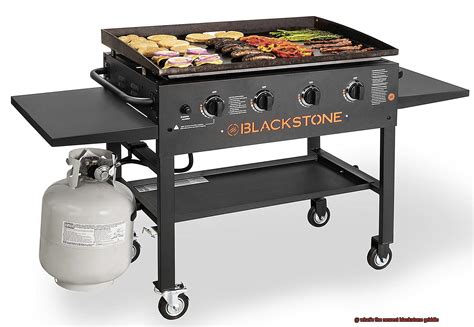 The Blackstone Griddle is a quality product that is easy and practical to use and care for. At 720 square inches, the cooking surface is big enough for most families and friends to prepare a hearty meal. The griddle is portable, easily maneuverable, and folds easily for convenient transport. Ben Esman.. 