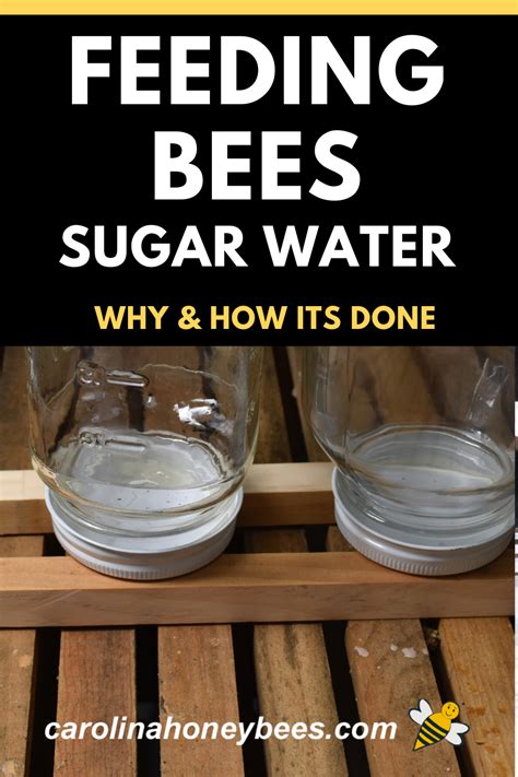 Whats the coldest to feed bees 2:1 sugar water