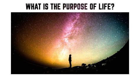 Whats the purpose of life. Things To Know About Whats the purpose of life. 