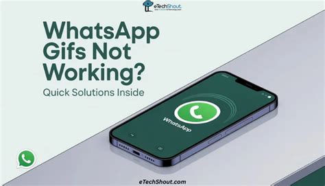 Whatsapp gifs not sending. .  <a href=https://app.climatalist.com/assets/ima...