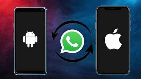 Whatsapp ios dan androide