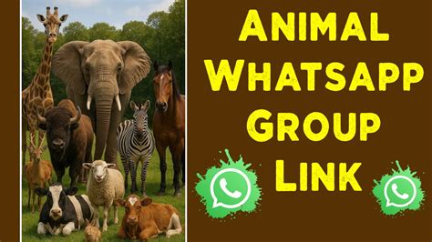 Whatsapp link sex with animal. .  ...