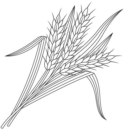 Wheat Coloring