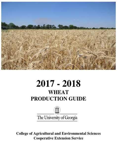 Wheat Production Guide