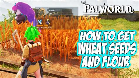 Wheat seeds palworld. Notably, you can also buy Wheat Seeds from Wandering Merchant NPCs for 100 Gold Coins apiece.These traders wander the map and can occasionally come to visit your Palworld base, though there’s always one at the Small Settlement located at coordinates (71, -486), west of the starting area.. Once you have … 