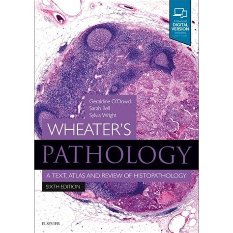 Read Online Wheaters Basic Pathology A Text Atlas And Review Of Histopathology By Barbara Young