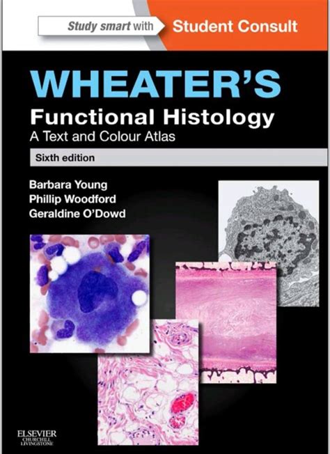 Read Online Wheaters Functional Histology A Text And Colour Atlas By Barbara Young