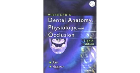Full Download Wheelers Dental Anatomy Physiology And Occlusion By Mckinley Ash