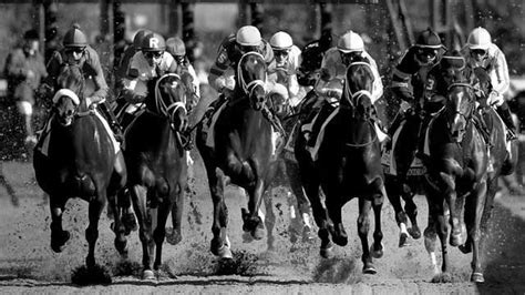 Wheeling downs live racing today results. Instantly access today's Horse Racing Results & Greyhound Racing Results from the best Greyhound, Harness, Quarter Horse & Thoroughbred racetracks. At OffTrackBetting.com our goal is to provide our players access to everything about horse racing to improve their handicapping skill, be a better horseplayer, and … 