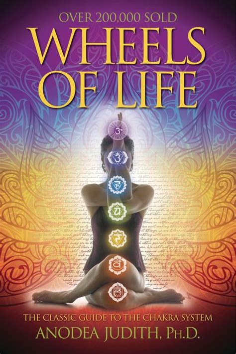 Wheels of life a users guide to the chakra system anodea judith. - The do it yourself series hi fi manual.