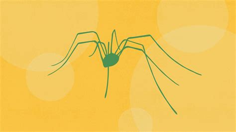 When Arachnophobia and MS Intersect Everyday Health