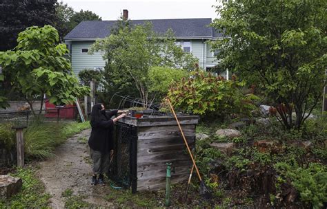 When Boston’s public schools closed in March, their gardens went ...