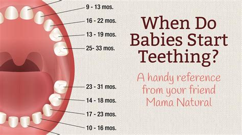 When Do Babies Start Teething? And other baby teething …