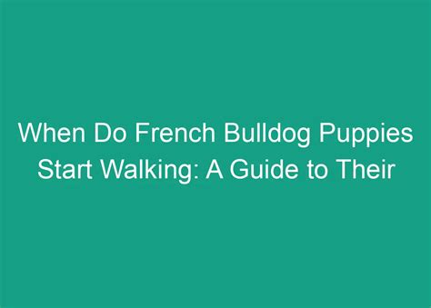 When Do Bulldog Puppies Start Walking