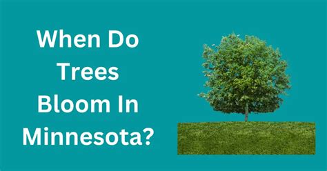 When Do Trees Bloom In Minnesota? (Complete Guide)