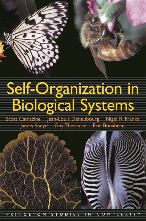 When Is Self-Organization Used in Biological Systems?