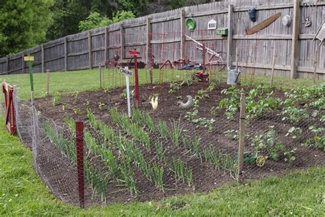 When Should You Plant a Vegetable Garden in Michigan?