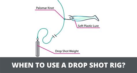 When To Fish A Drop Shot Rig? (3 Things You Should Know)