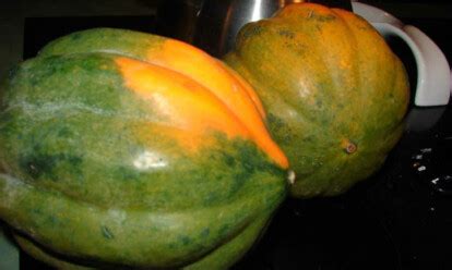 When To Pick Acorn Squash For The Best Flavor - Epic Gardening