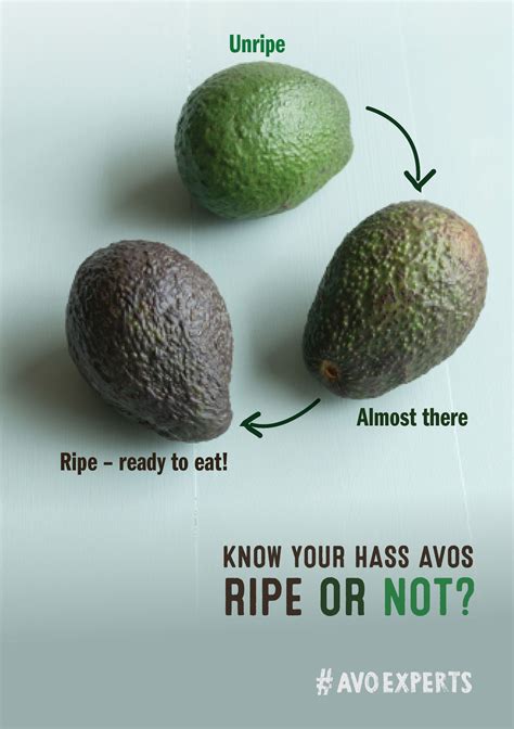 When an avocado is ready
