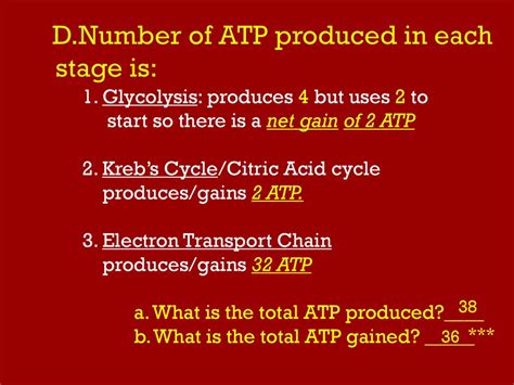 When atp is produced