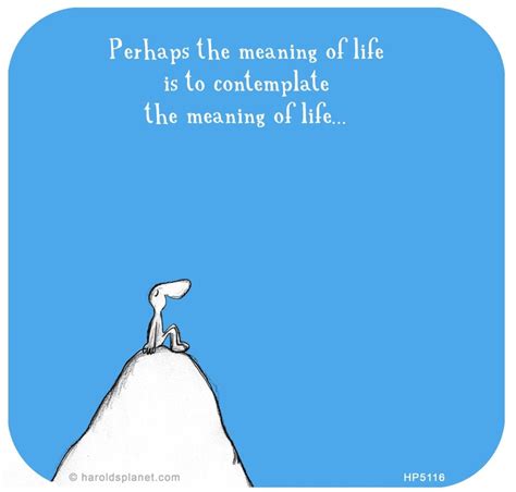 When contemplating about the "meaning of life", ask not about