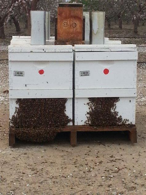 When did it come out in theaters