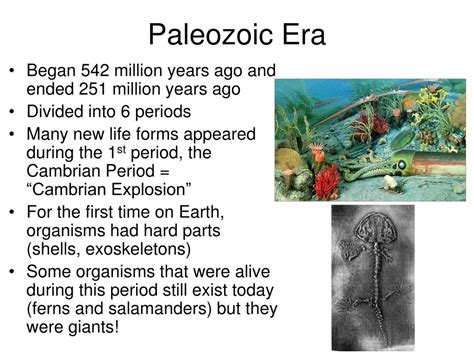 The start of the Paleozoic era, between roughly 542 mya and 530 