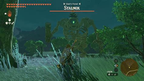 So if you're trying to wake a Stalnox, it must a) be night and b) you must allow the pile of bones a chance to despawn before it turns into a boss creature. Camping in front of it to make it night alone isn't enough. Common sense - isn't. Boards. The Legend of Zelda: Breath of the Wild. Waking Stalnox. 