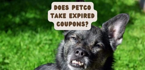 Frequently Asked Questions for Petco Pacific Beach. What time does Petco close/open?Expand or collapse answer. Our store hours are: 9:00am - 8:00pm; 9:00am - 8 .... 